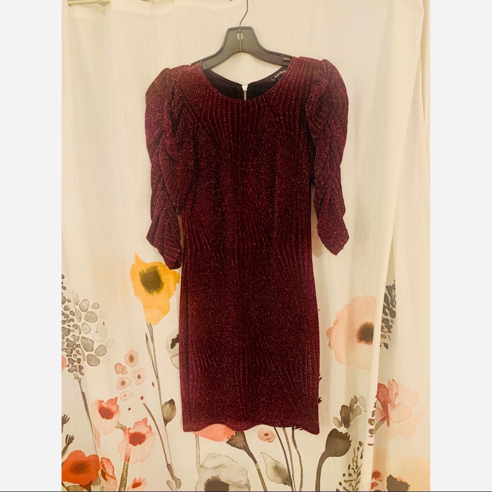 Long Sleeve Burgundy Sparkle Dress